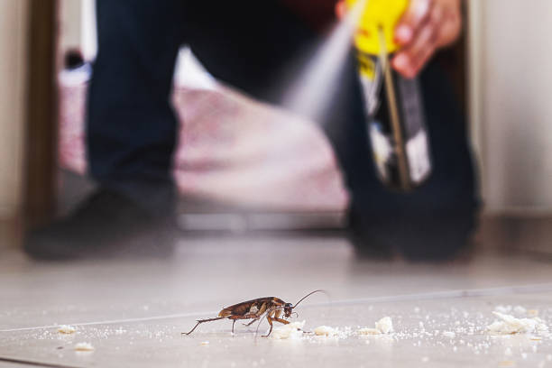 Best Bed Bug Extermination  in Mayflower, AR