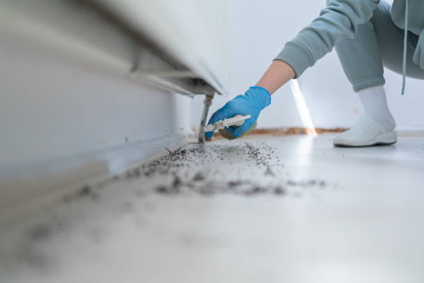 Best Best Pest Control Companies  in Mayflower, AR